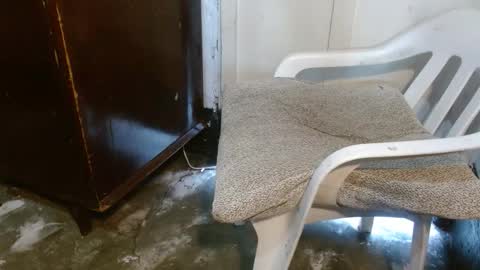 dreamreal online show from March 28, 11:44 am