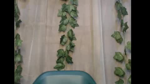 linda online show from November 8, 1:08 am