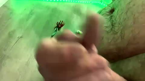 droppingloads82 online show from January 1, 5:43 am