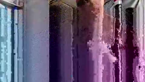 dsmock online show from October 1, 6:12 am