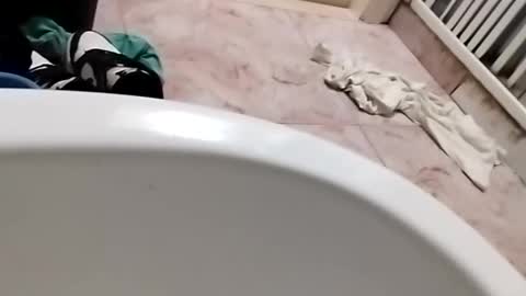 dthedog12 online show from September 25, 12:06 am