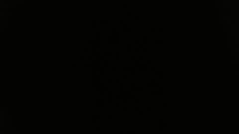 DULCE MARIA online show from June 4, 4:51 am