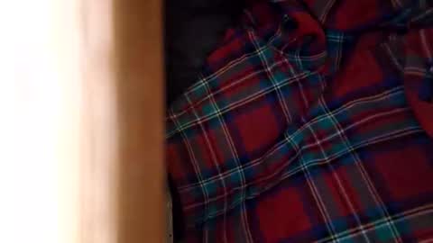 dVe1oPe online show from April 4, 9:16 am