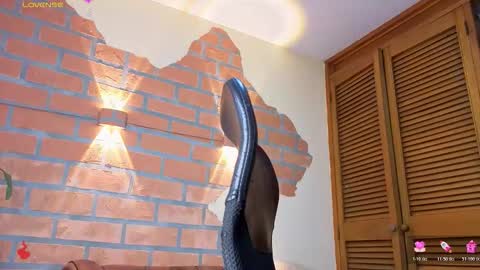 D Y L A N online show from March 4, 2:08 am