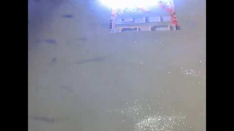 eatuupx online show from December 19, 3:40 pm