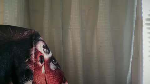 americnbarbie online show from November 8, 6:55 pm