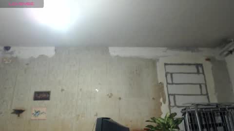 Alexander online show from December 22, 4:59 pm