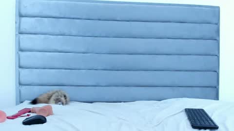 elaisaprincess online show from February 5, 1:04 am