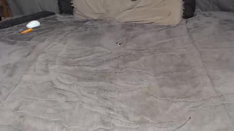 elgsslt online show from January 17, 12:58 pm