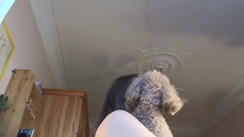  ELI  Guys Im immersed in my studies its time for exams. I hope to be here on Friday online show from February 2, 10:56 am