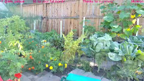 Ella Bella Bo Bella online show from August 3, 1:50 pm