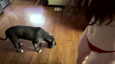 popalottapuss - puddin tits - daddy - buttercup - bonfire - Mrs. Fuck Yea - hibeams - honey buns - online show from April 21, 3:52 pm