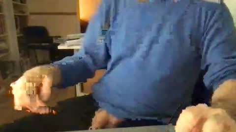 englefield online show from December 15, 7:46 am