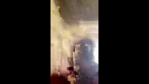 enkobe online show from March 1, 9:57 am