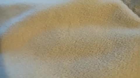 Eric Carrotman online show from September 19, 10:52 am