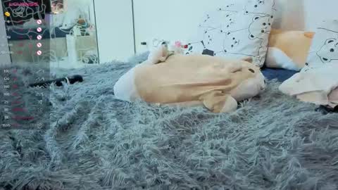 Eva online show from January 17, 5:00 pm