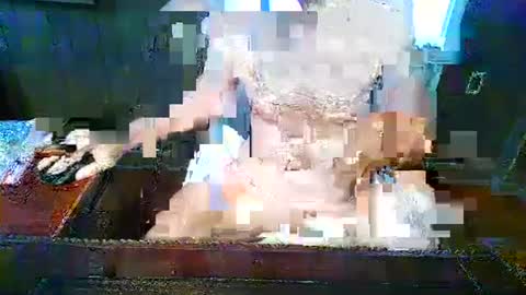 Randy Miles online show from December 2, 1:41 pm