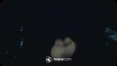 Shadow online show from February 1, 3:53 pm