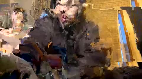 Snapshot of exoticnights chatting on October 8, 11:38 am exoticnights online show from October 8, 11:38 am