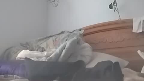 Snapshot of fairyboycvm chatting on September 24, 3:08 pm fairyboycvm online show from September 24, 3:08 pm