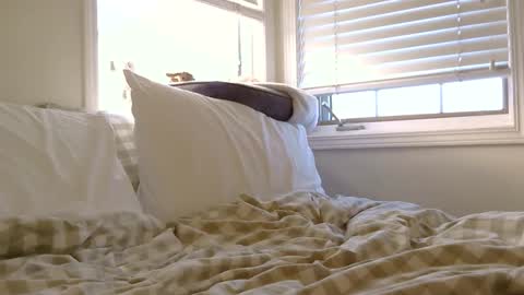 fairypixie online show from January 16, 7:34 pm