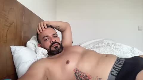 Falkor online show from March 17, 8:14 pm