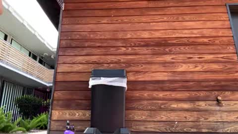  Lily  Waifu  online show from April 21, 4:14 pm