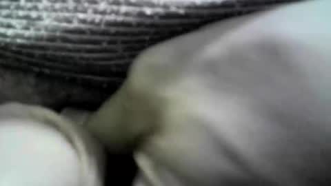 felicaste online show from October 14, 10:29 am