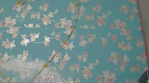 fighter224660 online show from April 8, 11:35 am