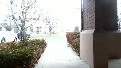 Snapshot of fit_hung_sub chatting on December 16, 5:33 pm pain slut daren online show from December 16, 5:33 pm