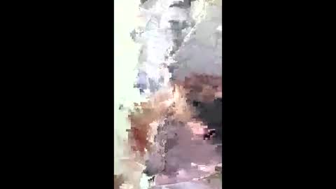 flavianflavius33 online show from April 12, 5:11 am