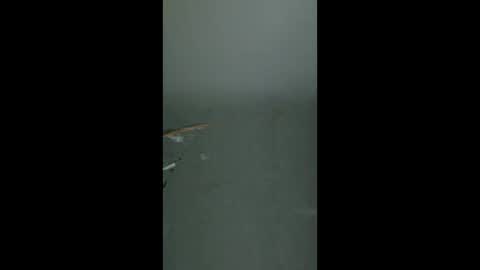 flavianflavius33 online show from April 28, 4:39 am