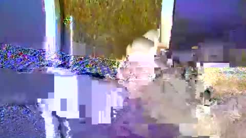 flex480 online show from February 17, 1:26 am