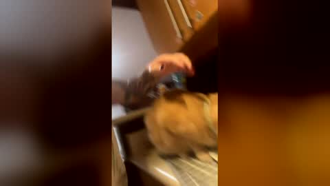 Ive Retired From Camming  online show from February 11, 6:23 pm