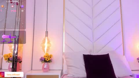 Luna online show from November 13, 1:58 pm