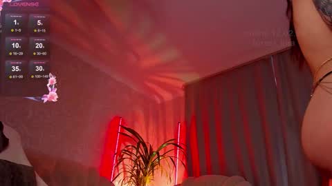     online show from February 12, 1:04 pm