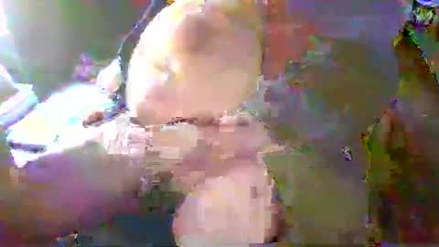 Terry Bangcock online show from January 18, 5:15 pm