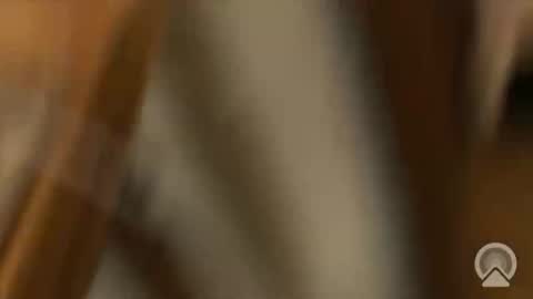 Frank online show from February 2, 2:25 pm