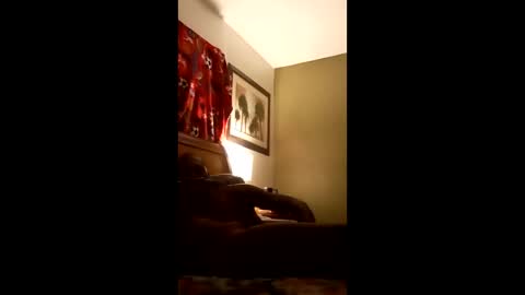 freakeazy online show from January 8, 10:10 am