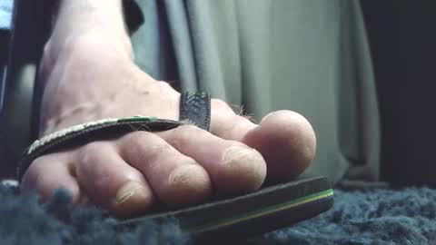 Greedy Fred online show from March 23, 2:11 pm