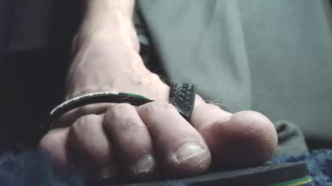 Greedy Fred online show from February 19, 2:33 am