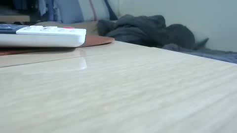 K-Dick online show from February 26, 12:16 pm