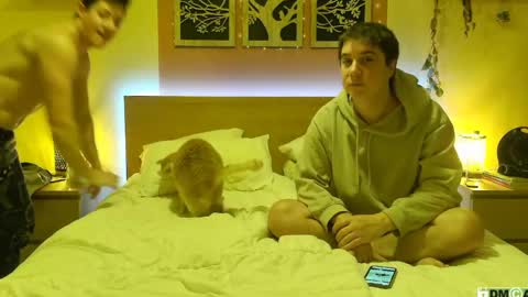 Snapshot of frenchhornybibs chatting on January 26, 8:02 pm French Horny Bibs online show from January 26, 8:02 pm