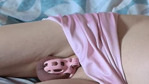 Meadow online show from July 30, 7:31 am