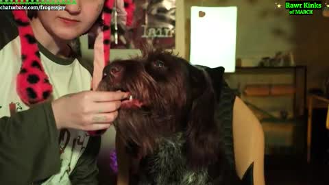   Jaywise Frogfoot  online show from March 1, 6:45 pm