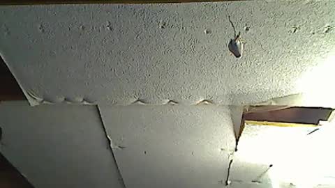 fromanotherplanet24 online show from March 17, 11:43 pm