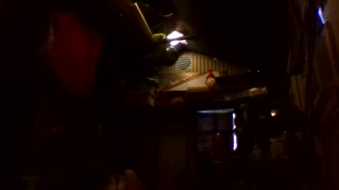 fukmegud69 online show from December 3, 1:23 pm