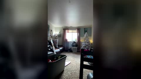 Linnys Palace online show from January 13, 5:43 pm