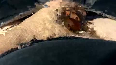 funtime741 online show from December 10, 2:16 am