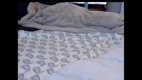 Funtimz16 online show from February 13, 8:34 pm